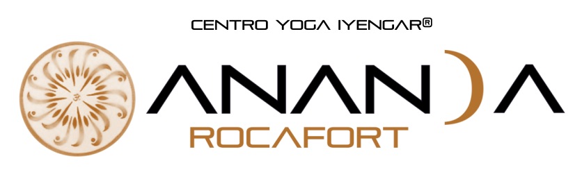 Ananda Yoga Iyengar Valencia